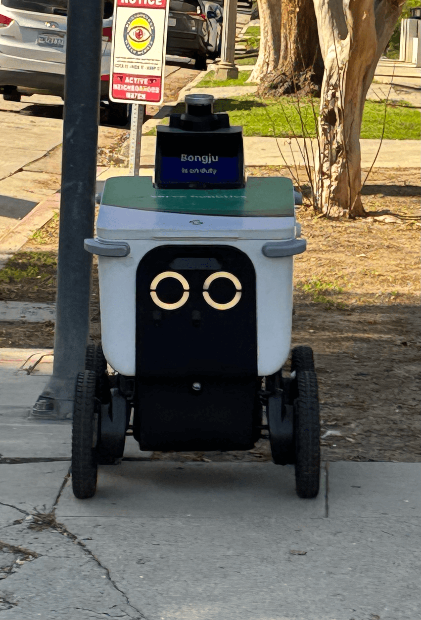 Robot Serve Robotics